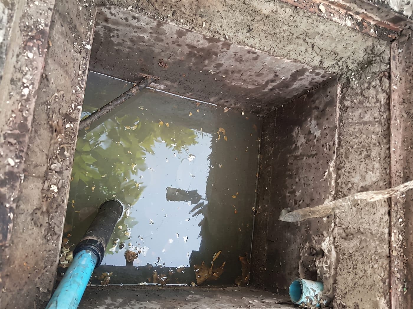 Cámara de inspección de un patio con el agua detenida por el tapón y una manguera azul adentro
