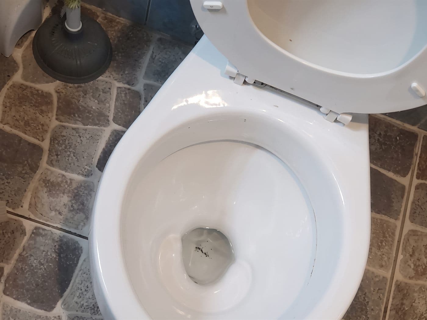WC destapado con la tapa arriba, y el sopapo y la escobilla en el rincón del baño