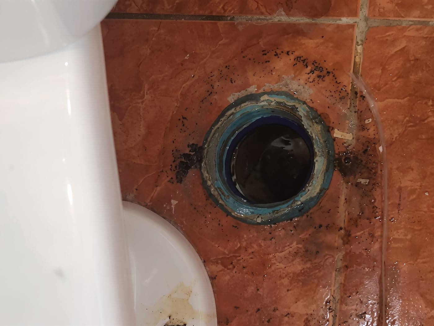 WC sacado de su lugar y la salida del desagüe en el piso a la vista, con restos del sello antiguo